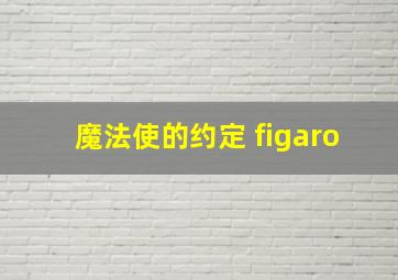 魔法使的约定 figaro